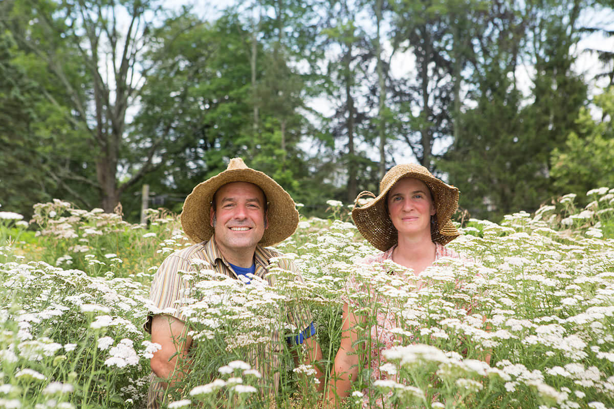 barefoot botanicals