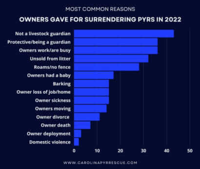 An infographic breakdown of the reasons owners gave CGPR for why they were surrendering a dog. (Image by CGPR)