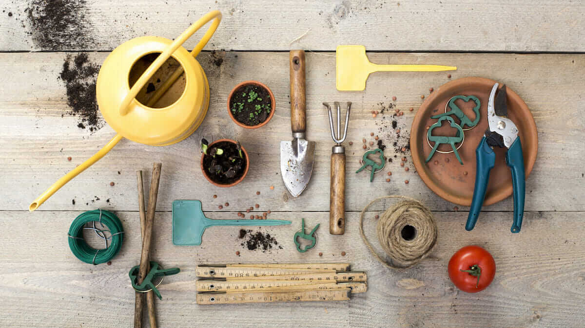 six specialty gardening tools you should try this spring