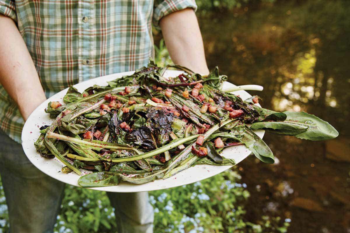 grilled chicory