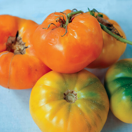 HEIRLOOM-TOMATO-kelloggs-breakfast