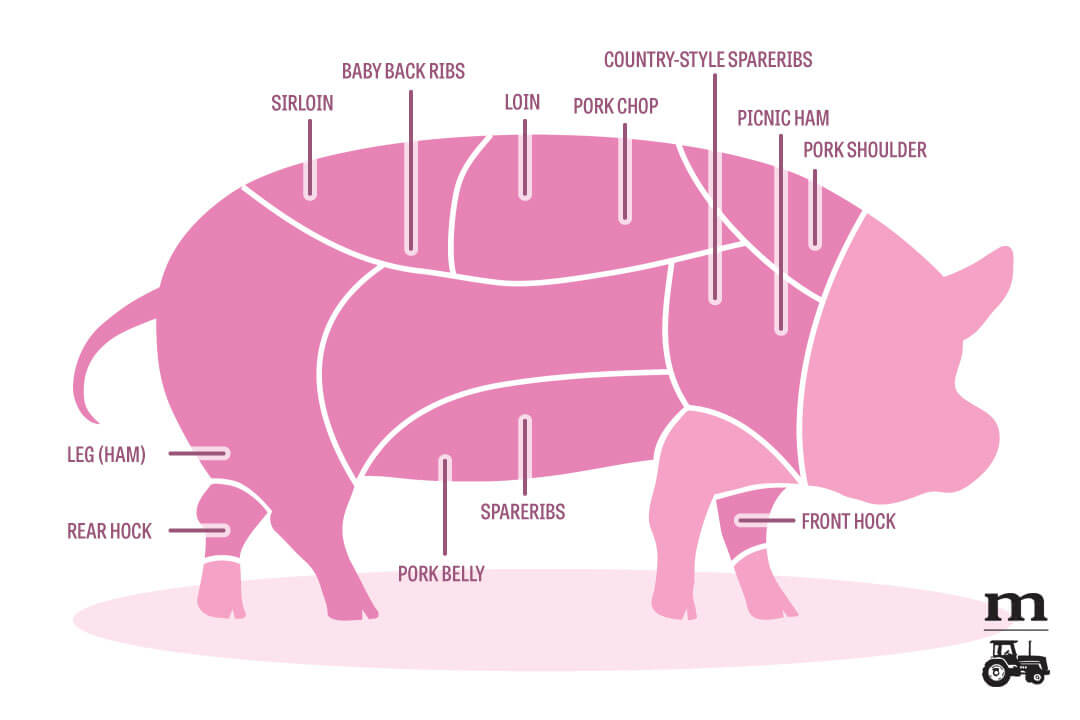 pork cuts 101, a diagram of pork cuts