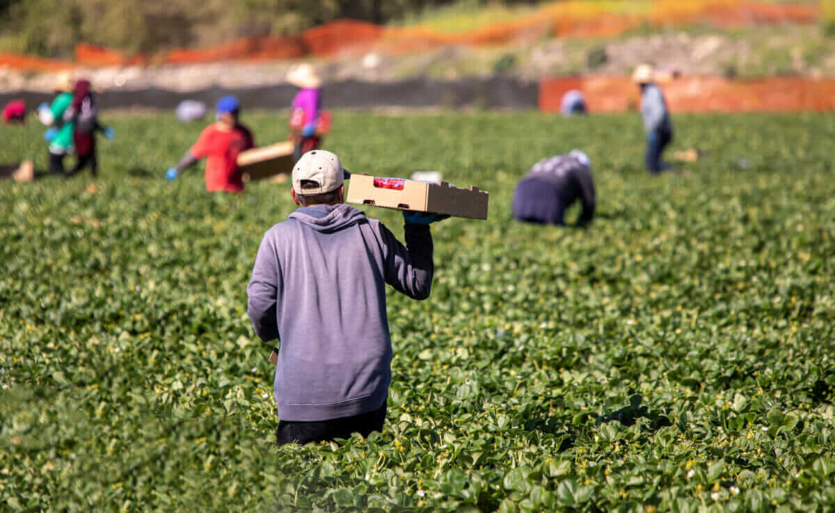 farmworkers