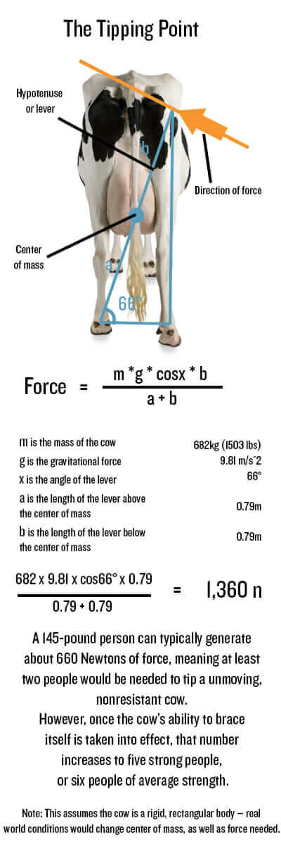 Diagram adapted from Popular Mechanics, using the work of Dr. Margo Lillie and Tracy Boecher.