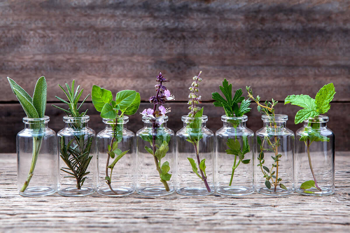 Everything You Need to Know About Essential Oils