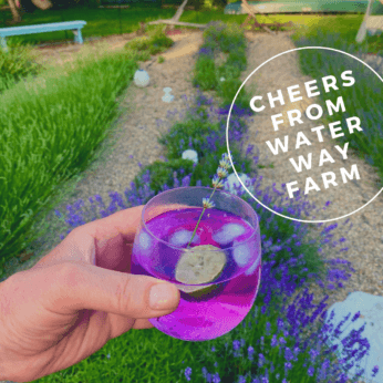 Cheers from wAter way farm copy.png