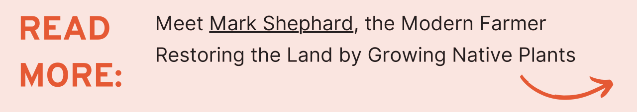 Read more: Meet Mark Shephard, the Modern Farmer Restoring the Land by Growing Native Plants