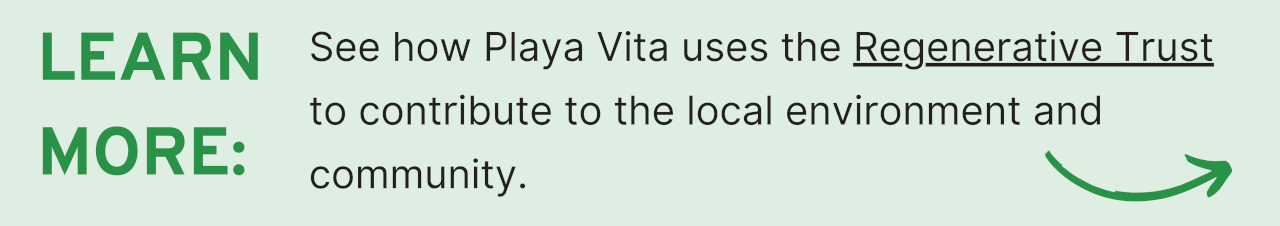 Learn More: See how Playa Vita uses the Regenerative Trust to contribute to the local environment and community.