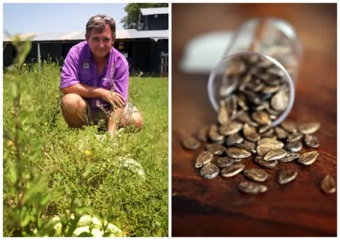 Left: Kerry Heafner and watermelons. Right: Seeds in a jar.