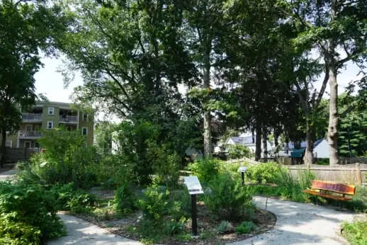 A food forest.