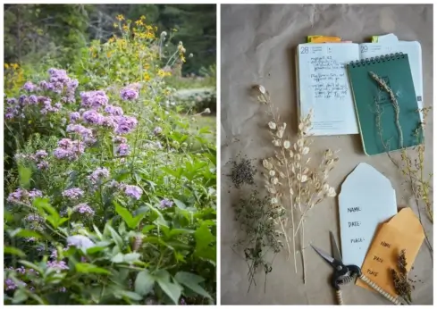 Left: Phlox. Right: Seed collecting. (Photography by Ngoc Minh Ngo)